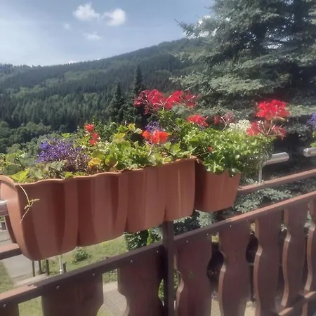 Ferienwohnung Hild - Botanica *