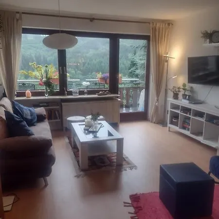 Apartment Ferienwohnung Hild - Botanica Winterberg